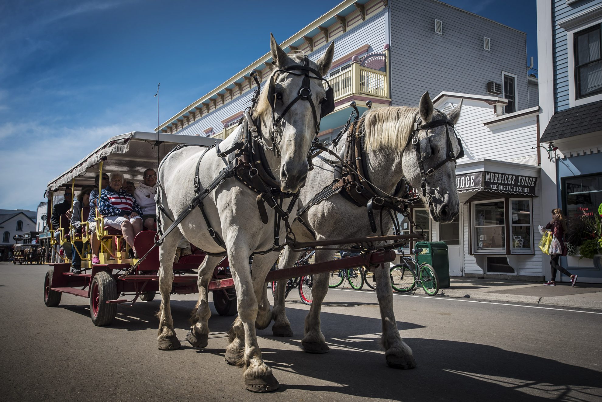 Mackinac Island Horses and Carriages 